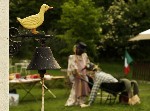 L'alpino in Carriola